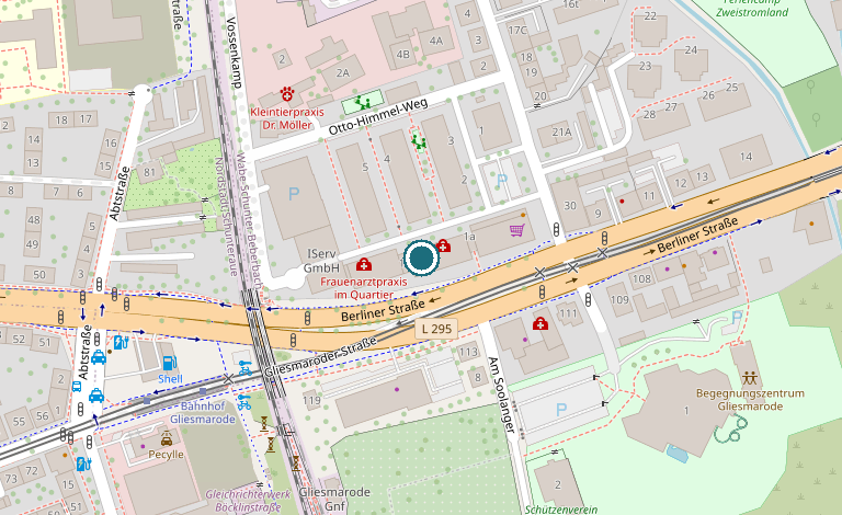 Kartenausschnitt von Braunschweig-Gliesmarode mit markiertem Praxisstandort an der Kurzekampstraße 1B
